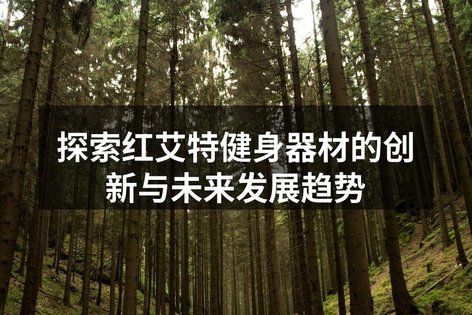 红艾特多功能健身器材展示