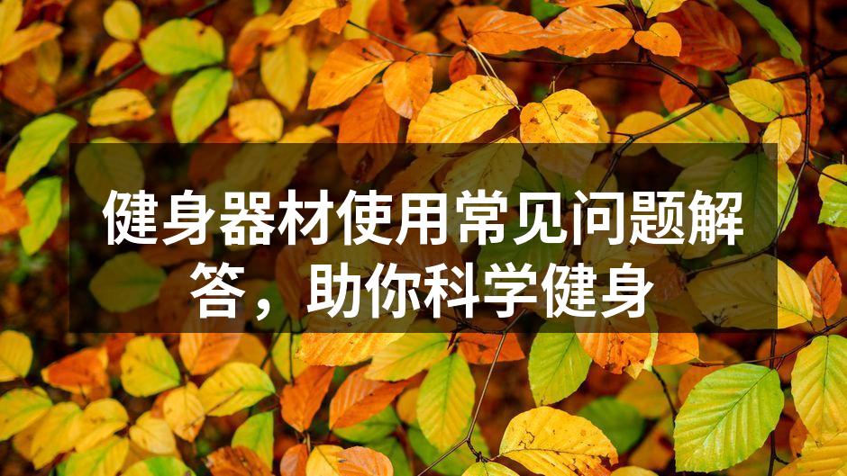 专业健身器材展示