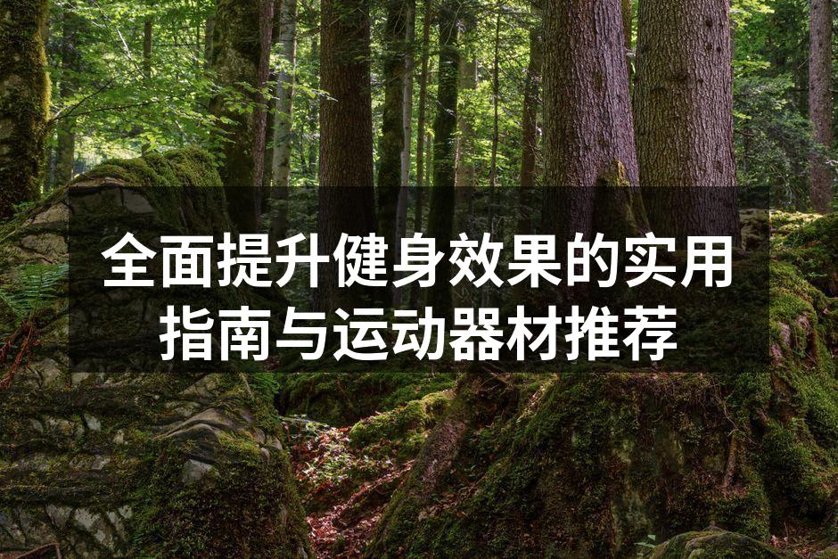 力量训练器材使用示例
